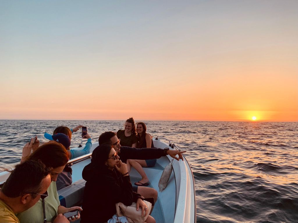 Sesimbra: Arrábida Naturpark Cabo Espichel Sonnenuntergangstour