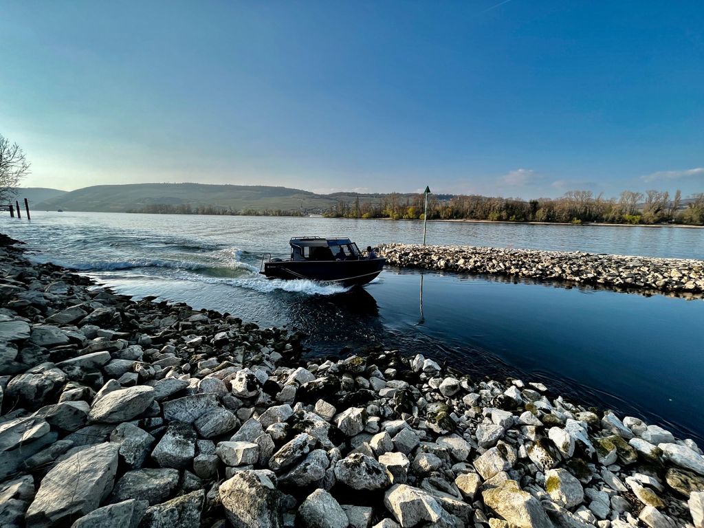 Private Sportboot-Experience auf dem Rhein und auf Wunsch mit Burgbesuch