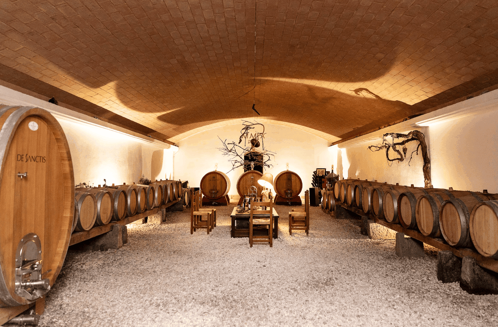 Campagna Romana: Authentische Verkostung von 3 Weinen in einem historischen Weinberg