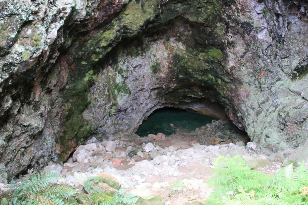 Von Rotorua aus: Taupo Tagestour mit Orakei Korako oder Waiotapu