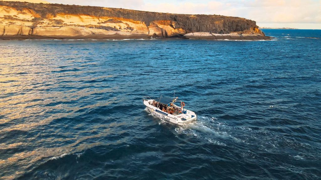 Private Charter Private Charter zur Walbeobachtung – 2 Stunden