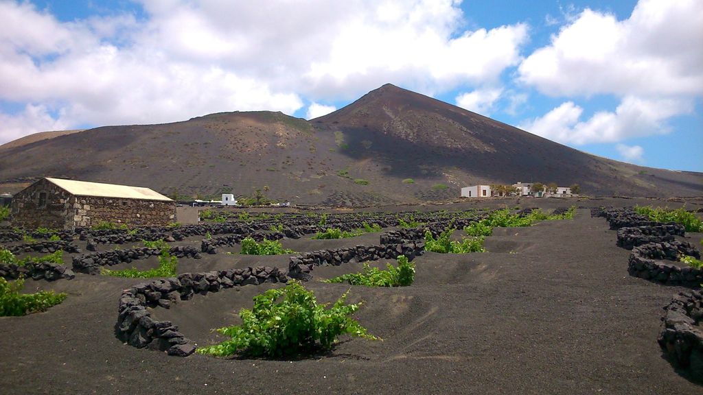 Lanzarote: Wanderung durch die Weinlandschaft von La Geria
