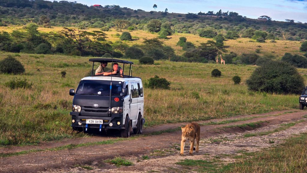 5-stündige geführte Geländewagen-Safari im Nairobi-Nationalpark mit kostenloser Abholung