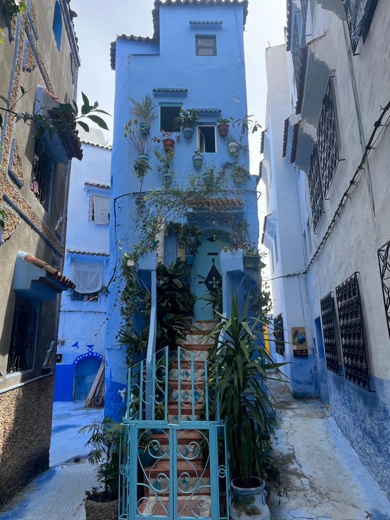 Chefchaouen die blaue Stadt und Wasserfälle akchour