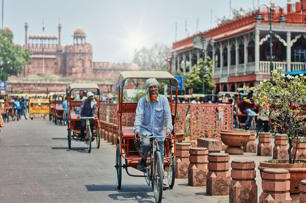 Private Tagestour durch Alt- und Neu-Delhi mit erfahrenem Guide