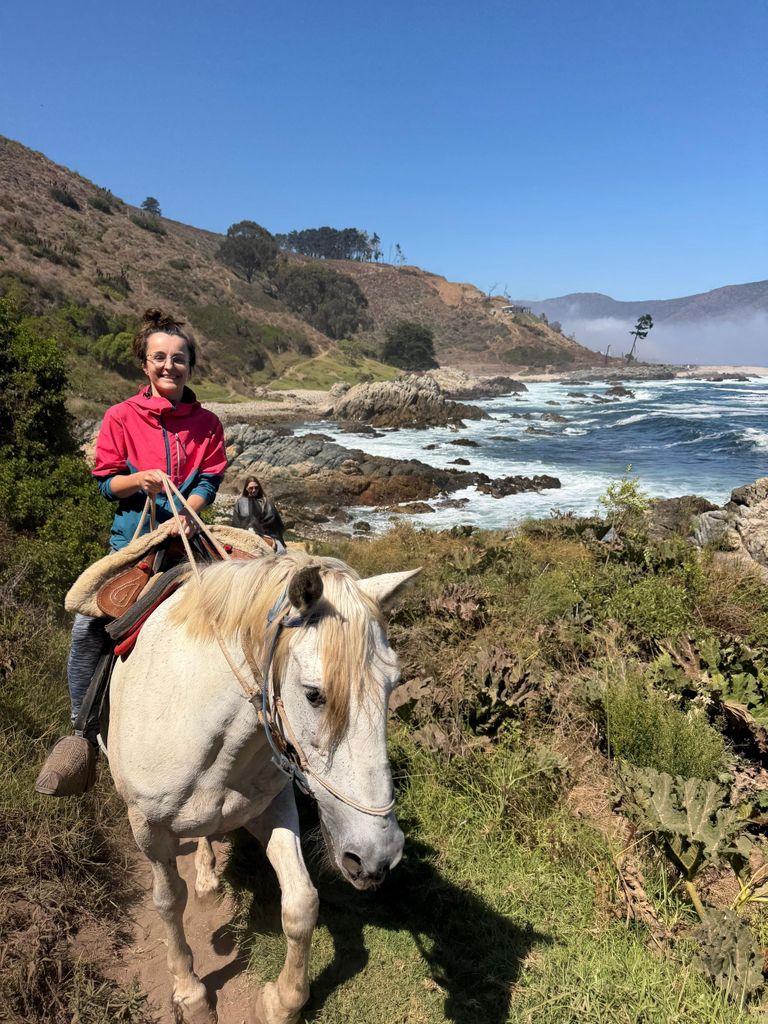 Papudo: Ausritt, Pinguinbeobachtung und Segeln