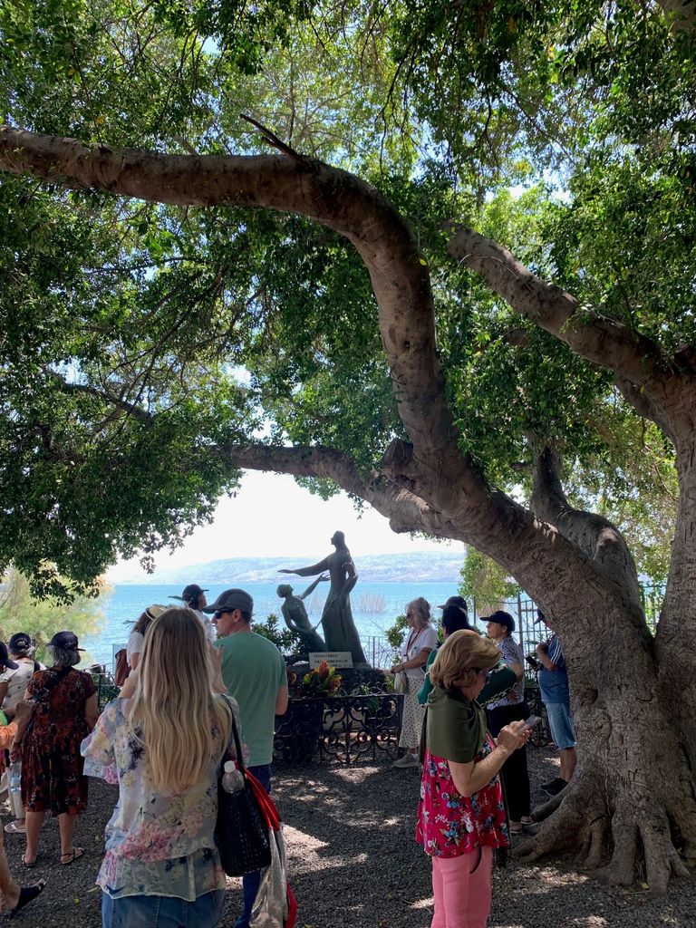 Hafen von Haifa: Ganztagestour nach Galiläa