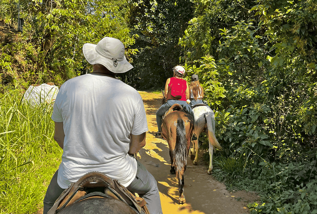 Paraty: 3-stündiger Ausritt durch den Regenwald