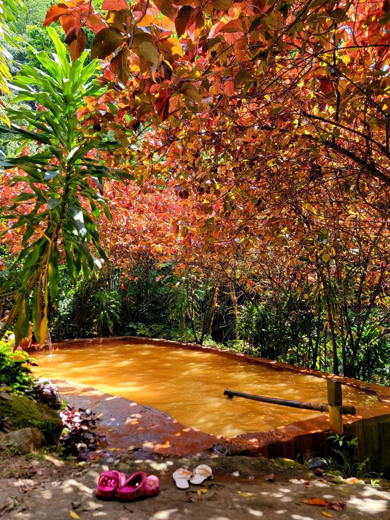 Dominica: Middleham Falls, Titou-Schlucht und Trafalgar Falls…