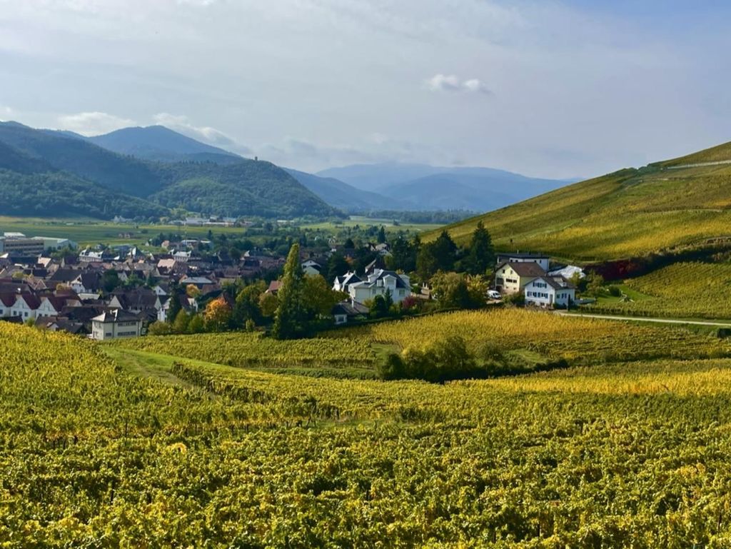 Turckheim: die Stadt, in der der Drache schlummert, Besichtigung zu Fuß