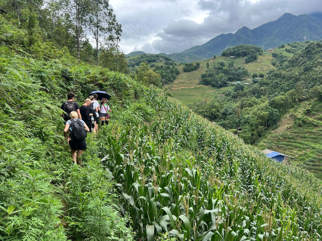 Sapa erkunden mit TrekkingAdventures, Berge, Reisfelder