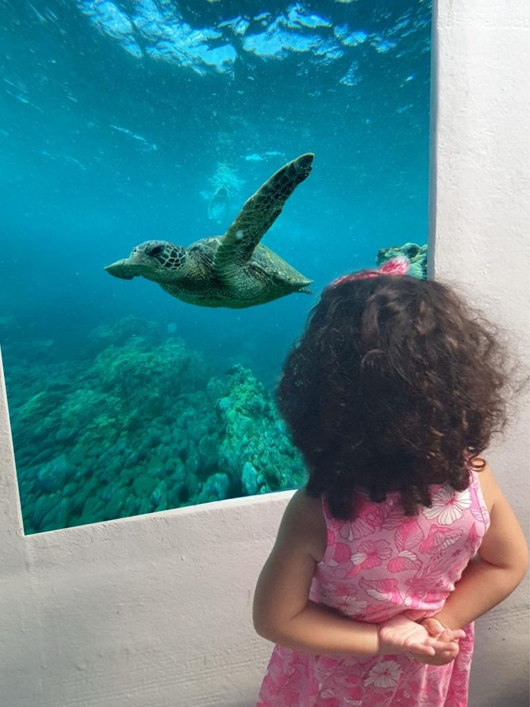 Larnaca: Mini-Kreuzfahrt mit dem gelben U-Boot und Badepause