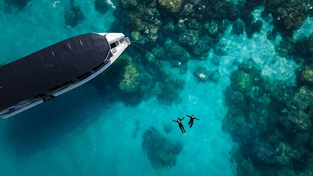 Cairns: Schnorcheltour am Great Barrier Reef in kleiner Gruppe