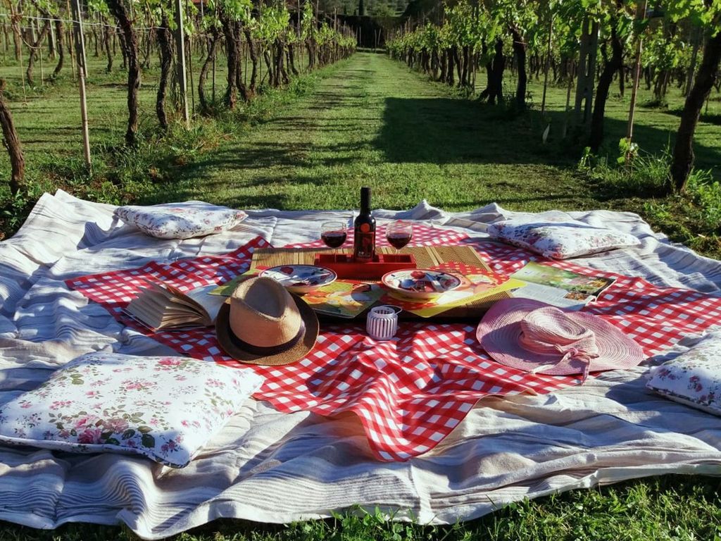 Lucca: Picknick-Mittagessen auf einem Weingut mit dem Fahrrad