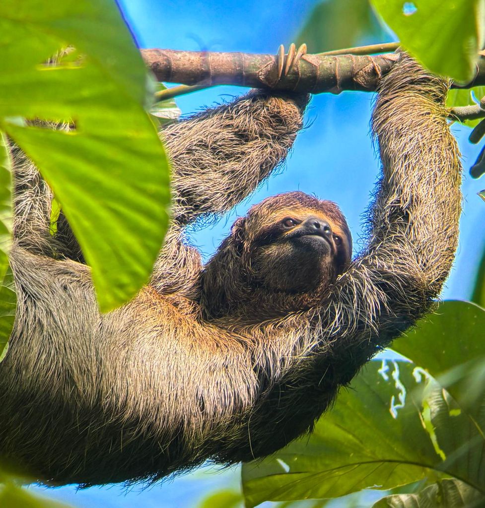 Manuel Antonio National Park: Privates Naturerlebnis