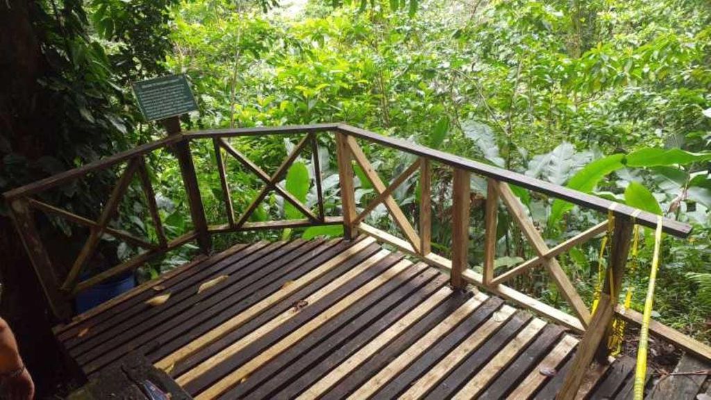 St. Vincent: Vermont Naturpfad