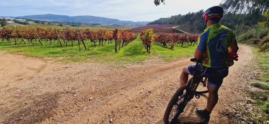 Óbidos: E-Bike-Tour zur Quinta do Gradil mit Weinverkostung