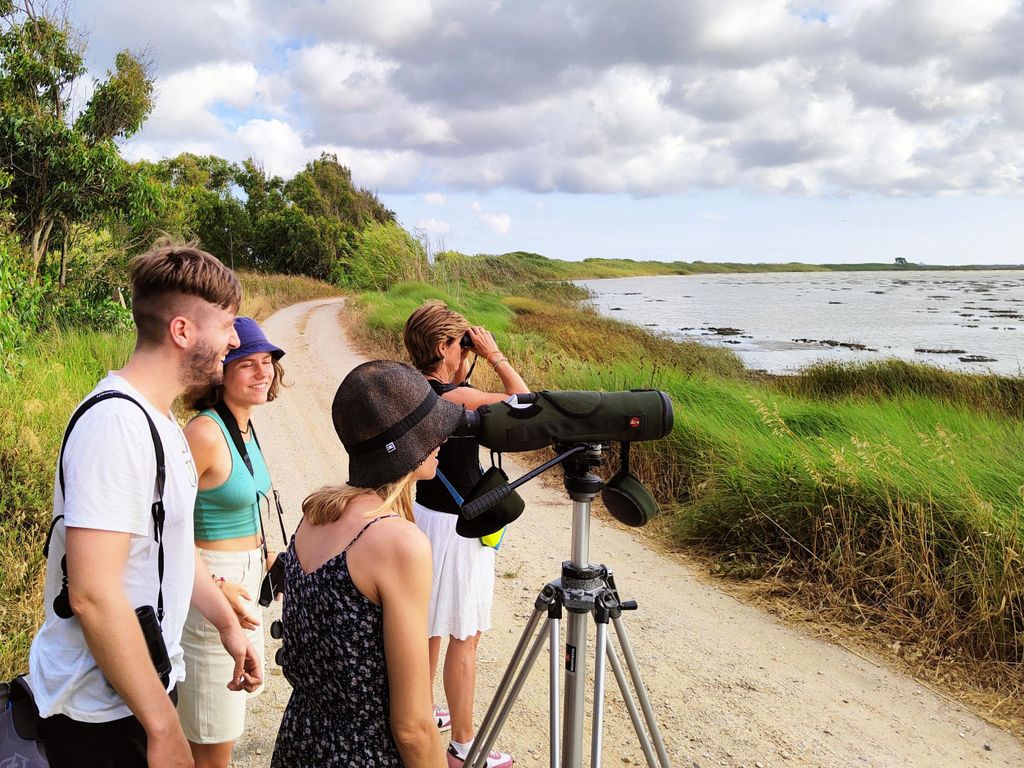 Vogelbeobachtung in Cabras: Entdecke die fliegenden Silhouetten