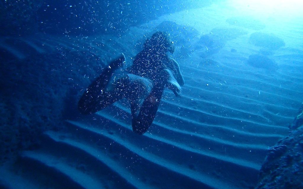 Dubrovnik: Blaue Höhle Tour mit Panoramablick auf die Altstadt