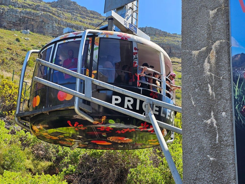 Kapstadt: Tafelberg, Cape Point & Pinguine – Gruppentour
