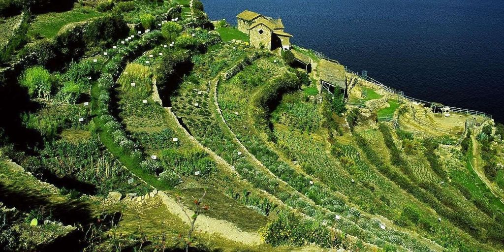 Katamaran auf dem Titicacasee und Besuch der Isla del Sol