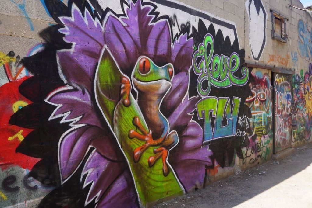 Tel Aviv: Street Art und Graffiti Tour