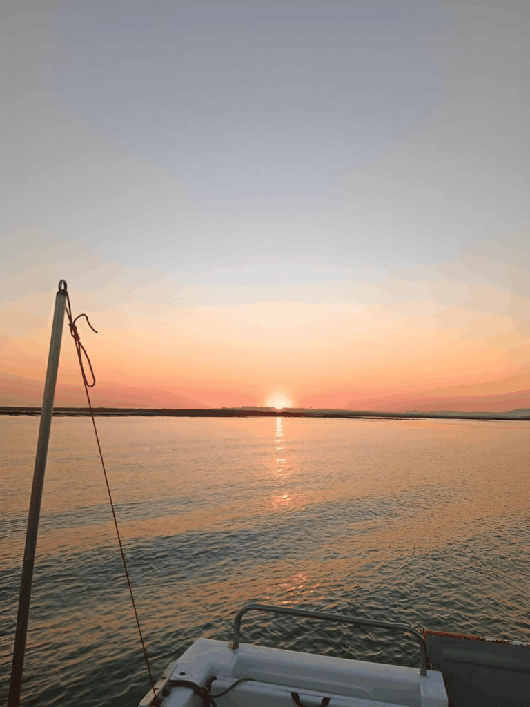 Olhão: Ria Formosa Sonnenuntergang - Tour entlang der Inseln