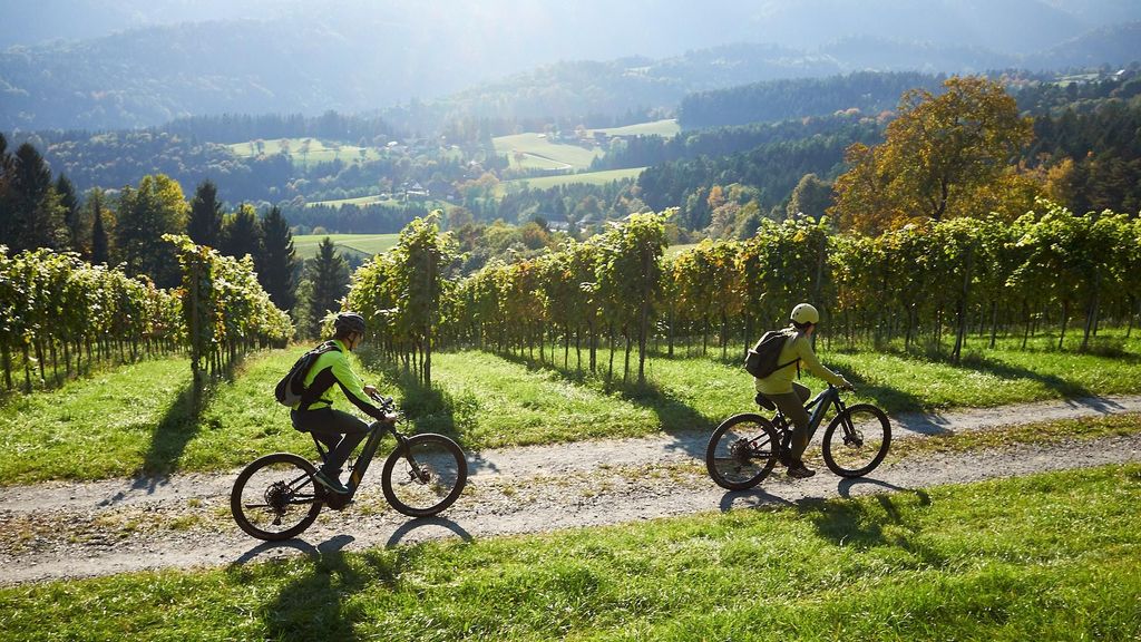 Schilcherland E-Bike-Tour mit exklusiver Weinprobe