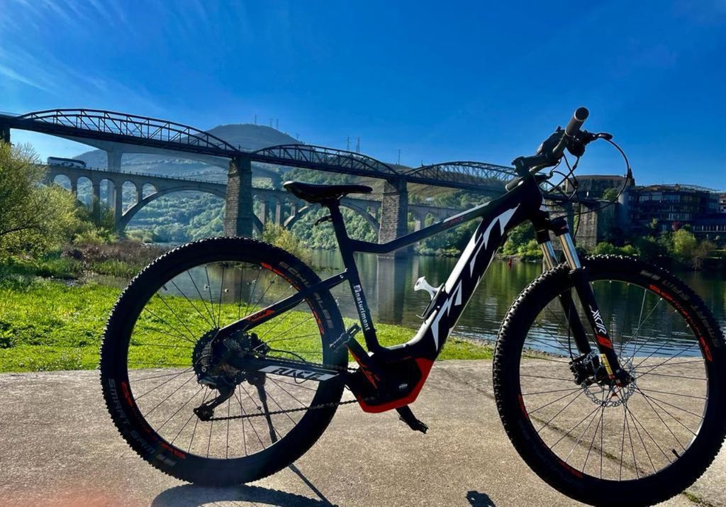 E-MTB - Weinberge Douro Tour