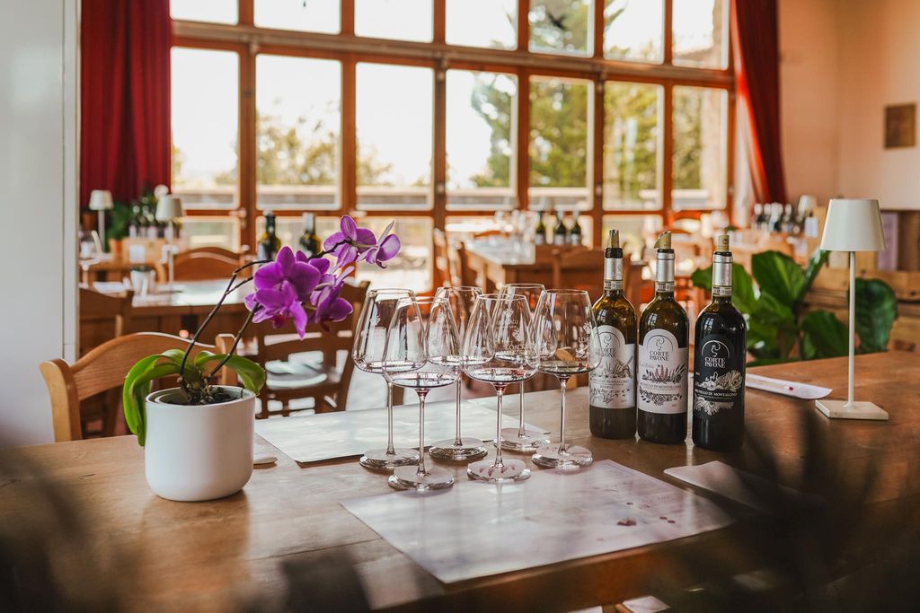 Montalcino: Winery Tour & Brunello Vertical Tasting