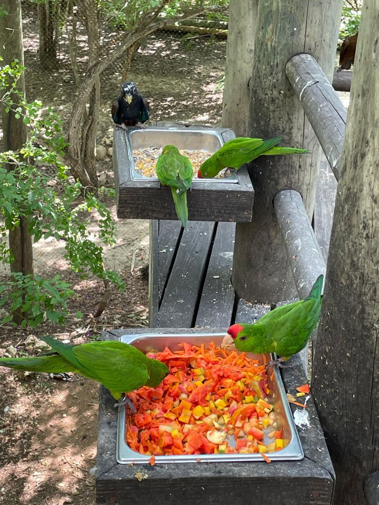 Cartagena: Aviary National Park Tour mit Abholung vom Hotel