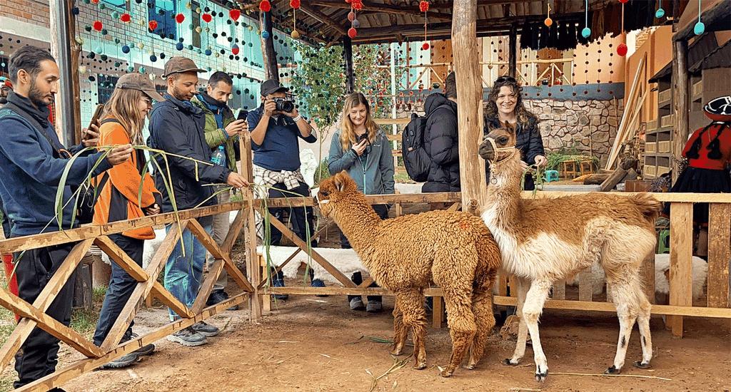 Von Cusco aus: Heiliges Tal & Maras Salzminen Tour mit Mittagessen