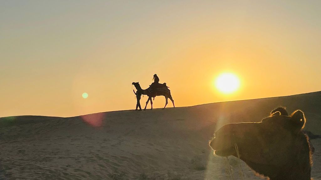 Kamel-Safari bei Sonnenuntergang mit Abendessen