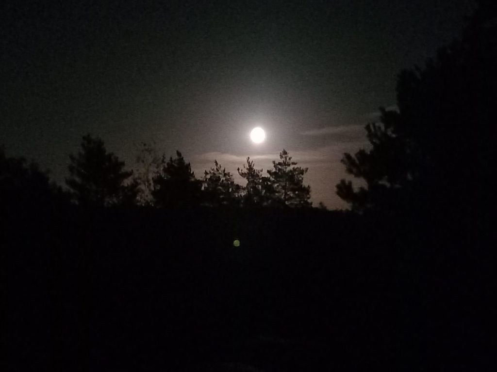 Fontainebleau: Geführte Nachtwanderung