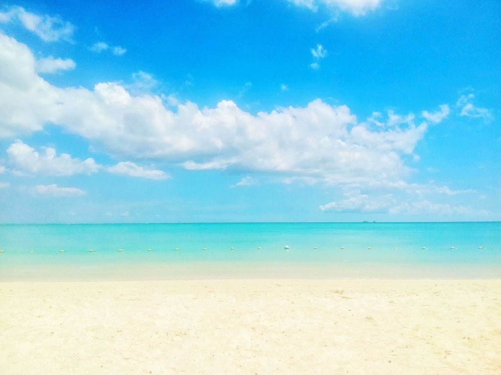 Wildes Delfinschwimmen & 4 nördliche Strände mit Transport
