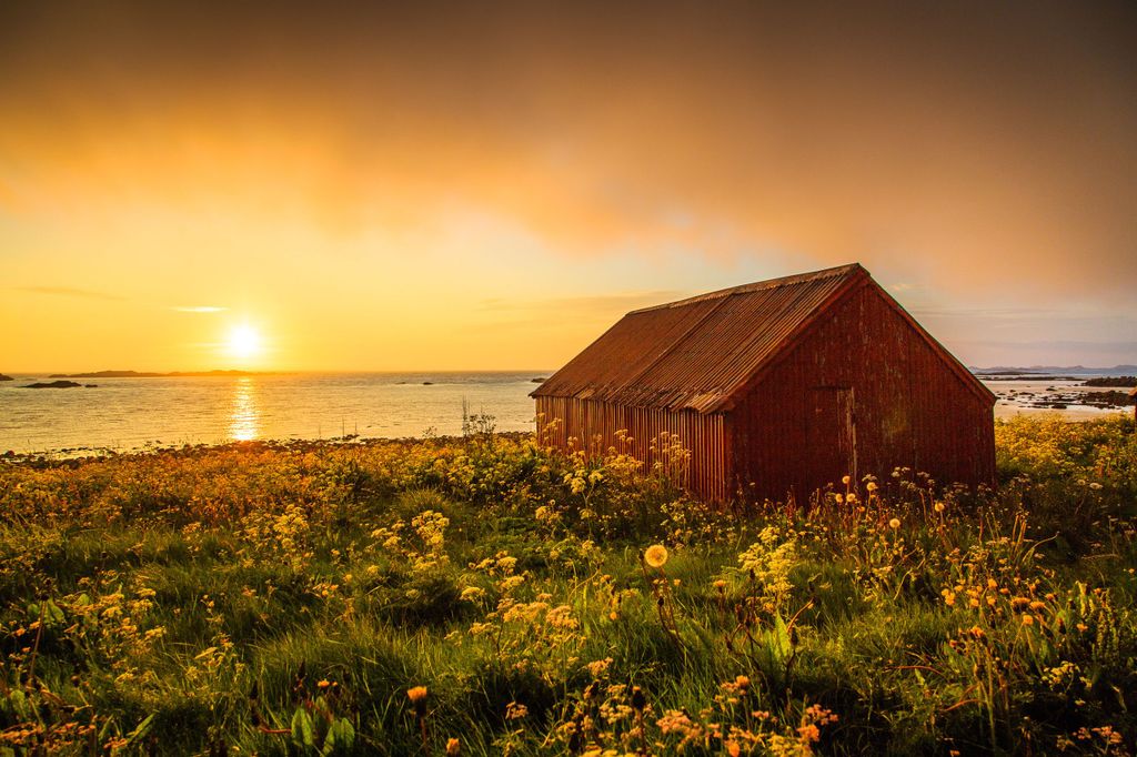 Ab Svolvær: Mitternachtssonnen-Tour mit einem Fotografen