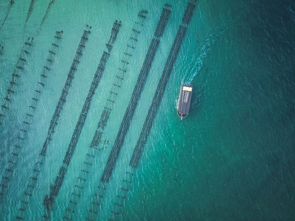 Port Lincoln: Coffin Bay Meeresfrüchte, Wein und Natur Tagestour