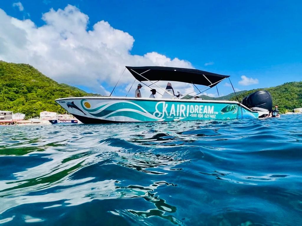 Martinique: Ganztägiger Ausflug mit dem Schnellboot, Delfinen & Schildkröten