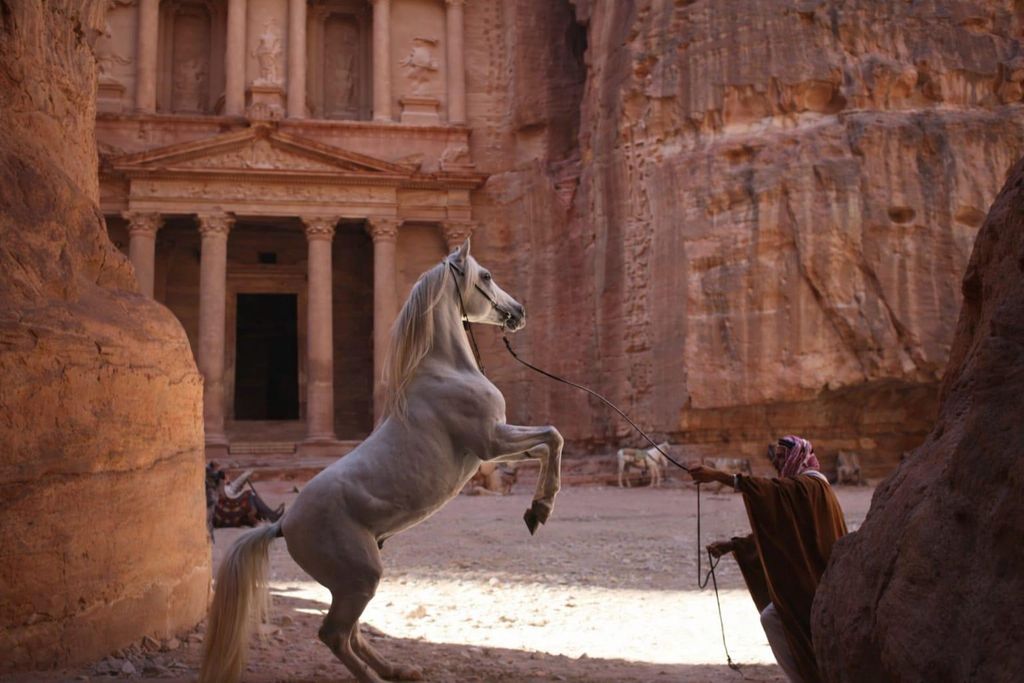 Amman: Petra, Lots Höhle und Totes Meer – Tagestour