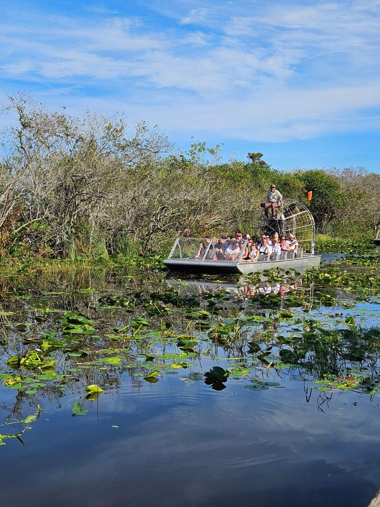 Everglades: Bootstour mit Transport und Eintritt inklusive