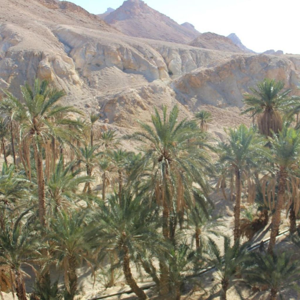 Exkursion Ein Tag in Tozeur: Bergoasen/Star Wars Location