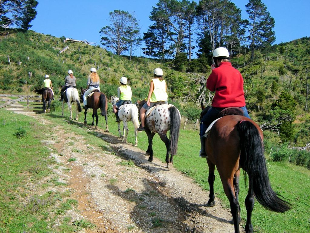 Reiten, Weinverkostung & Kunstpfad Private Tour