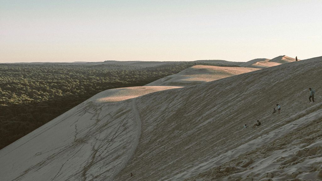 Von Bordeaux: Bassin d'Arcachon und Düne von Pilat – Halbtagestour