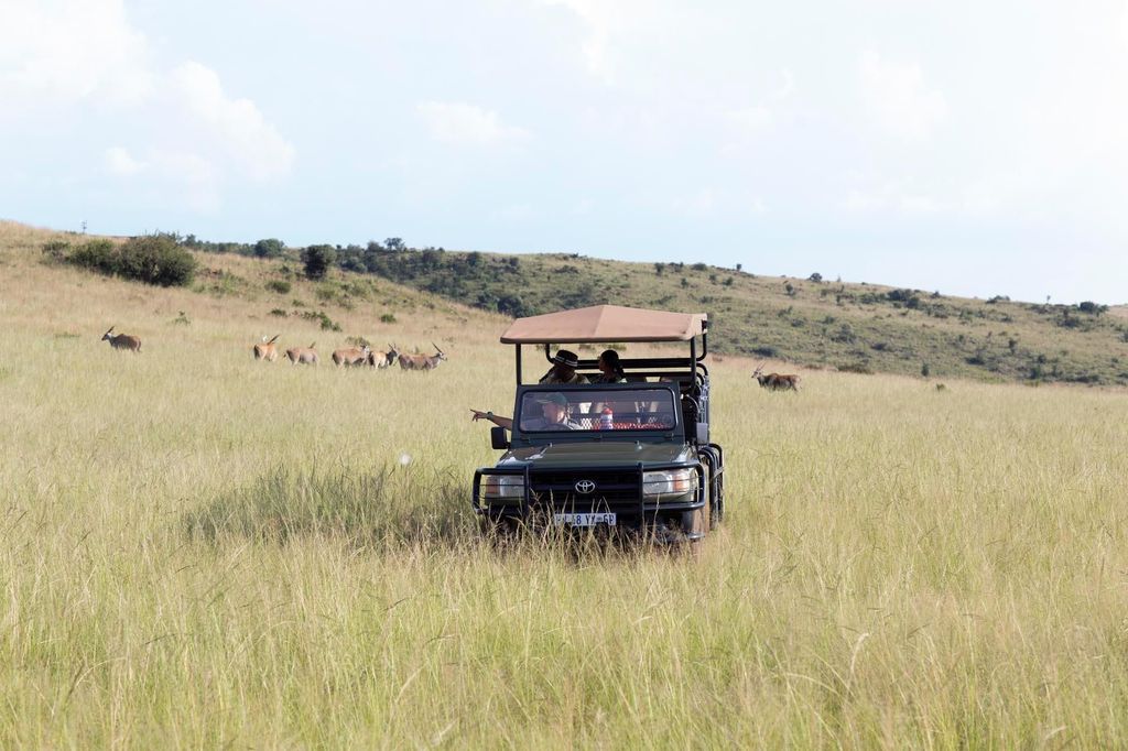 Johannesburg: Safari im Nashorn- und Löwen-Naturschutzgebiet