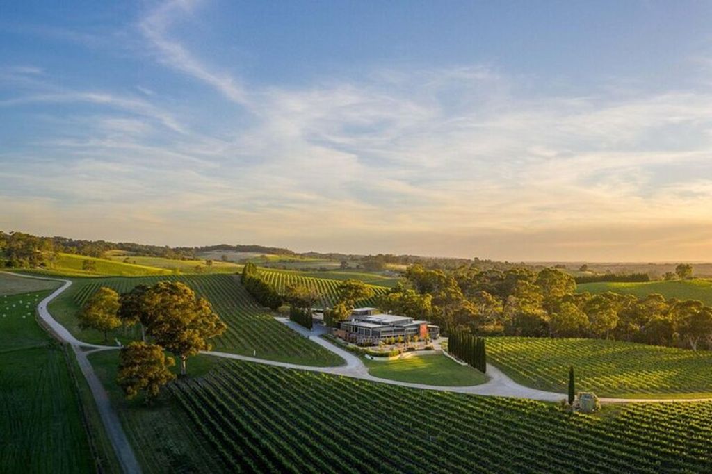 Von Phoenix: Private Tour „Vom Wirbelpunkt zum Weingut“