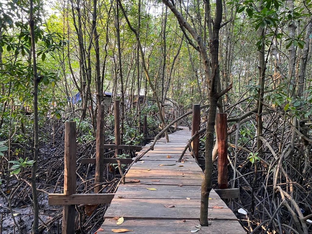 Kampot: Mangroventour, Weiße Elefantenhöhle & Kep-Entdeckung