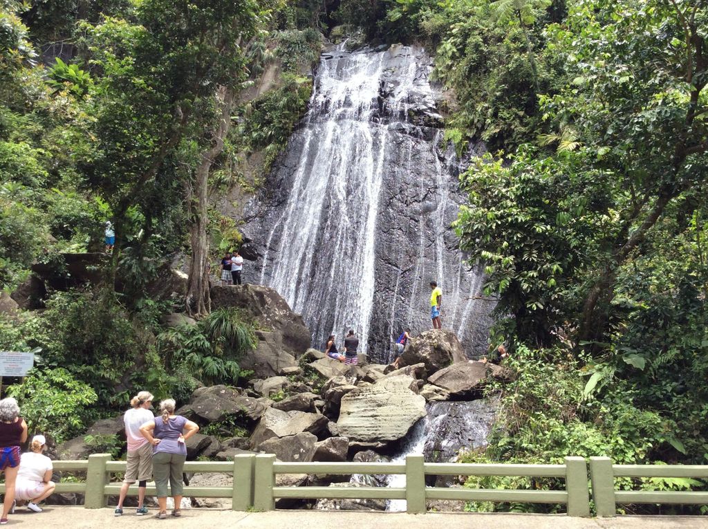 San Juan: El Yunque Rainforest Guided Tour