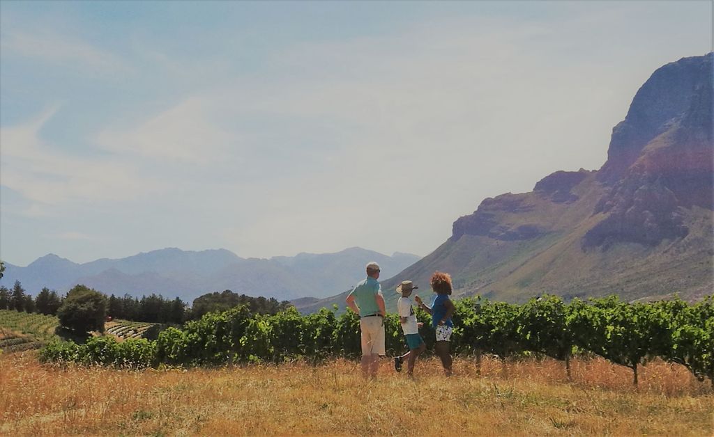 Stellenbosch: 4x4 Winelands Private Experience