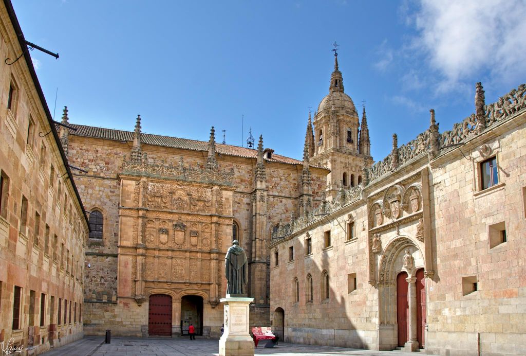 Salamanca: Rundgang durch die Universität und Hochschulen (Private Tour)