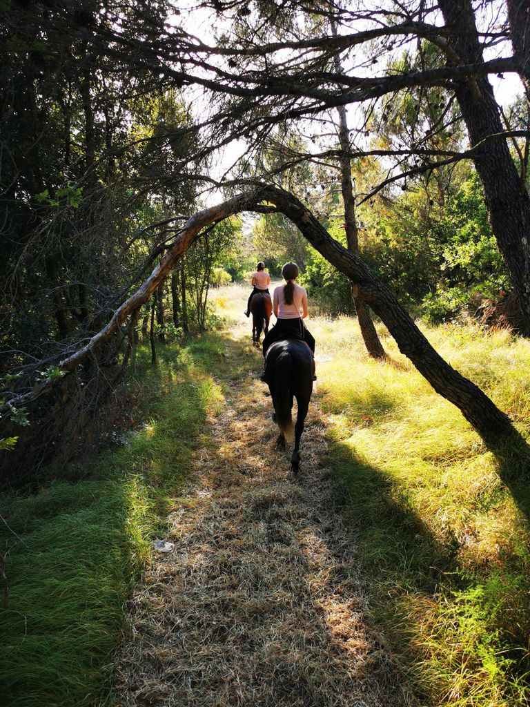 Istrien: Geführter Ausritt